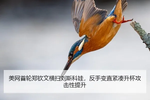 美网首轮郑钦文横扫刘斯科娃，反手变直紧凑升杯攻击性提升
